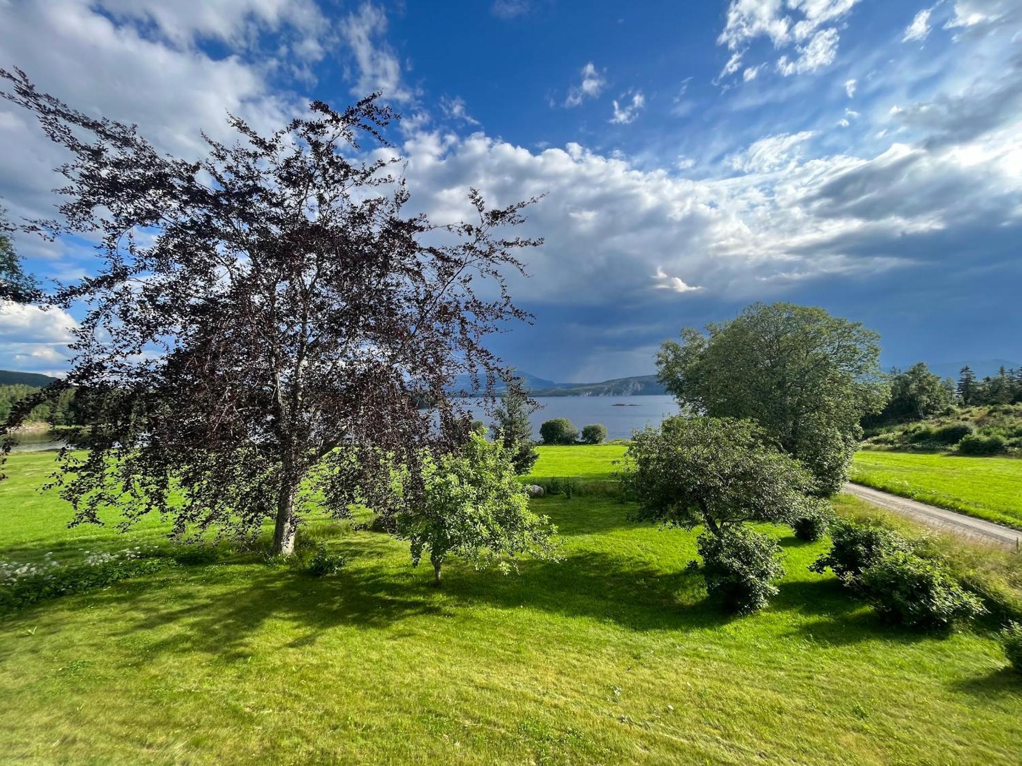 Stenegarden * Namsos